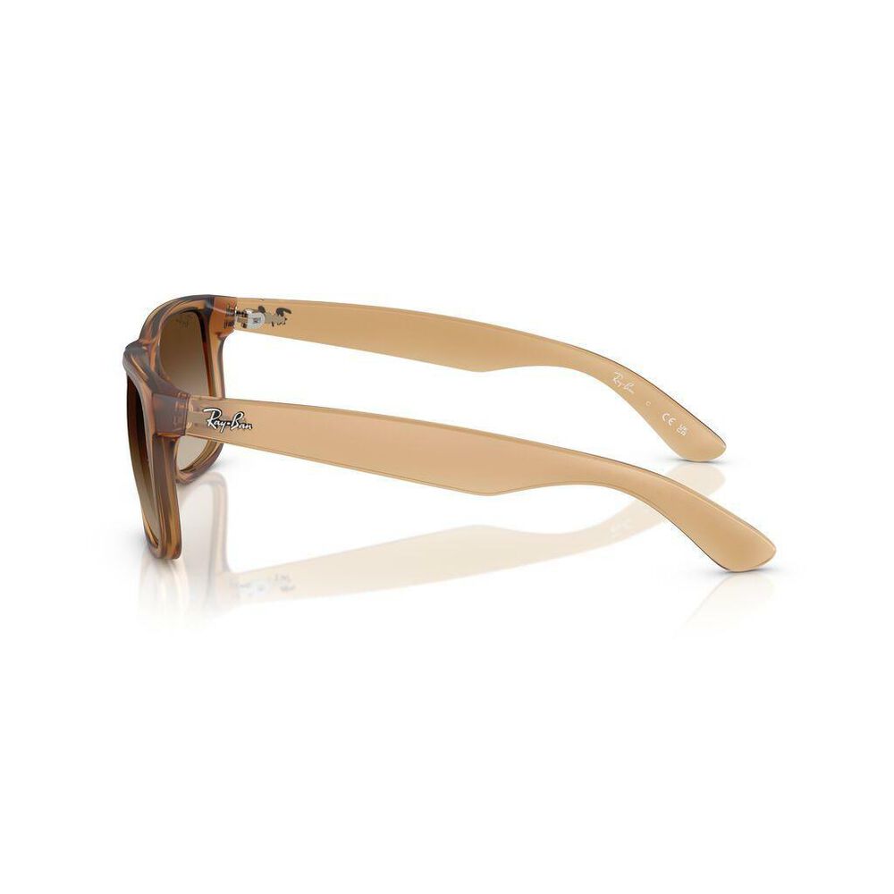 Lente solar Ray-Ban 0RB4165 image number 1