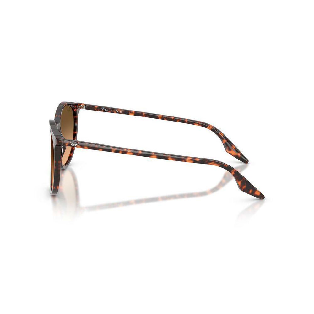 Lente solar Ray-Ban 0RB2204 image number 2