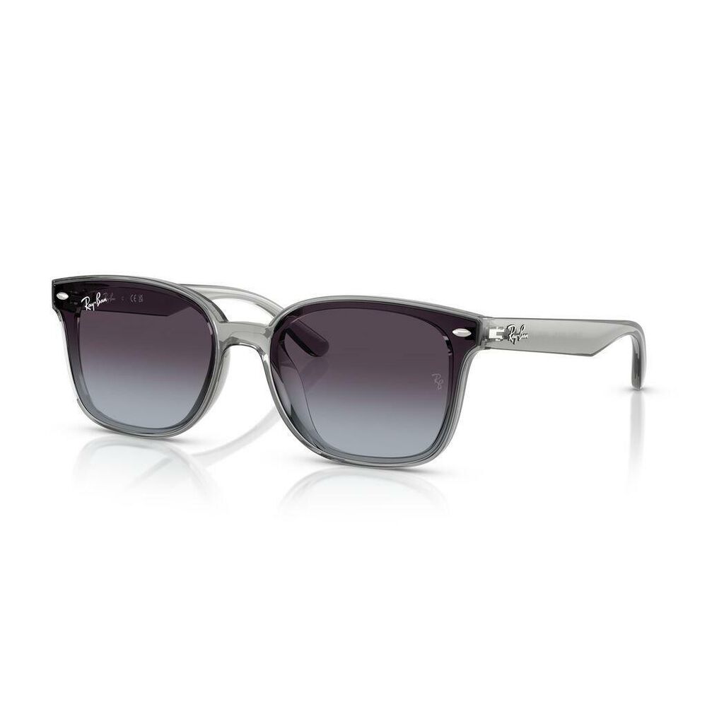 Lente solar Ray-Ban 0RB4461D image number 2