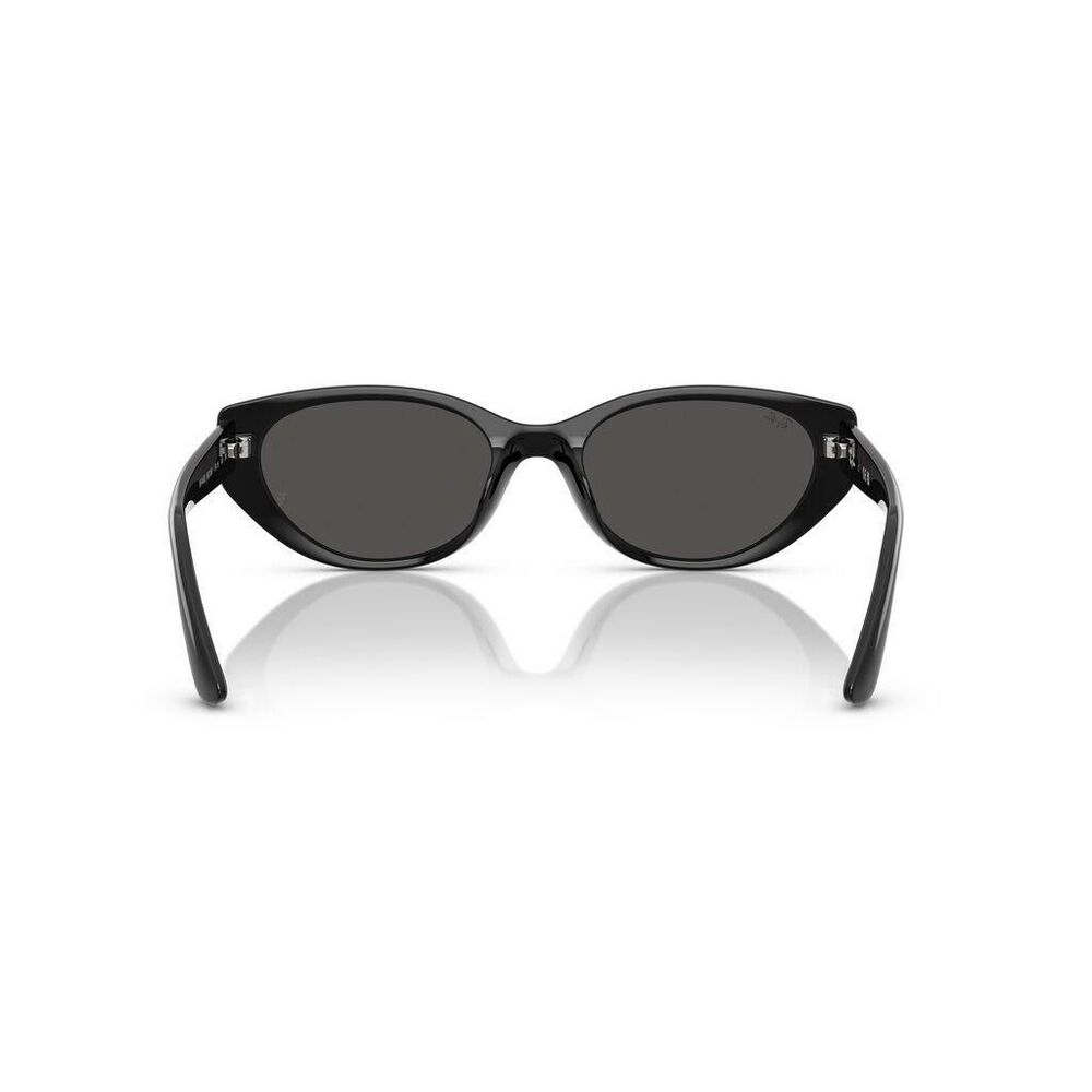 Lente solar Ray-Ban 0RB4457D image number 1