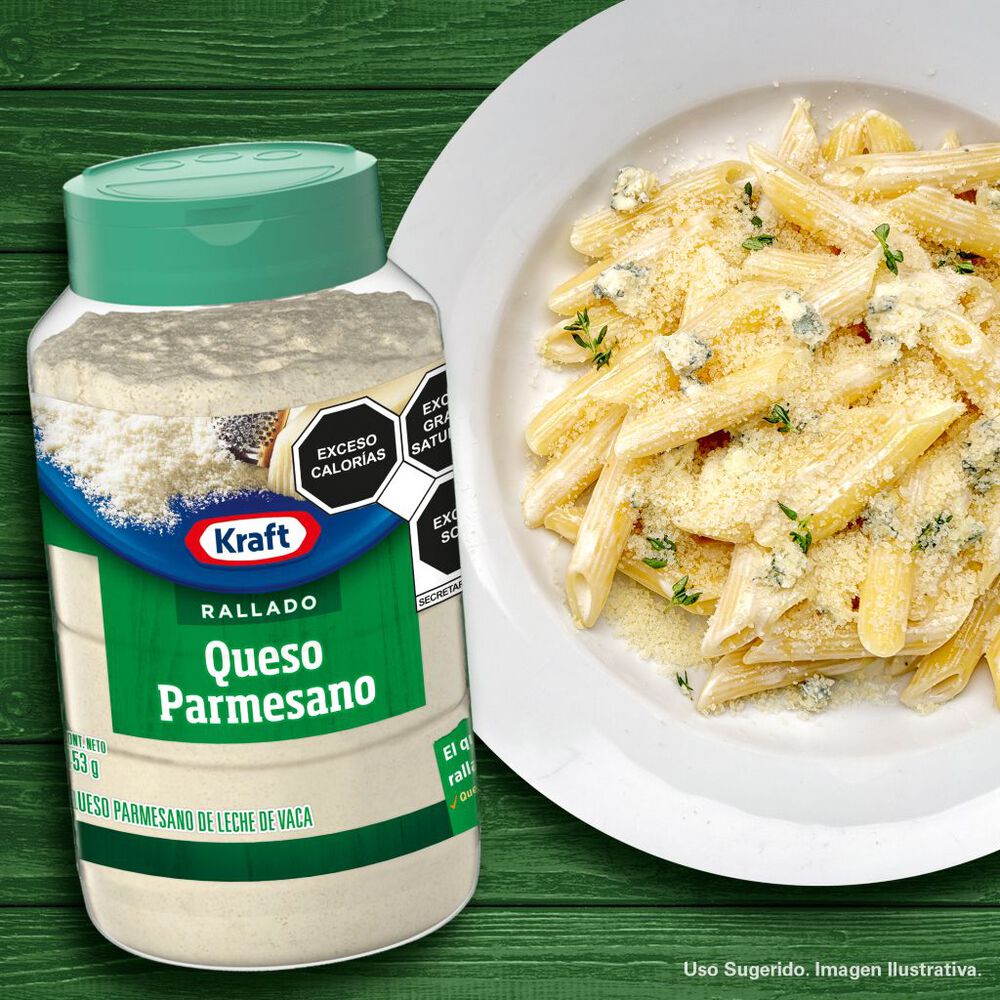 Queso Parmesano Rallado Kraft 453 G image number 2