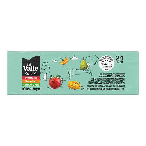 Jugo 100% Del Valle Jr Surtido 24/200ML