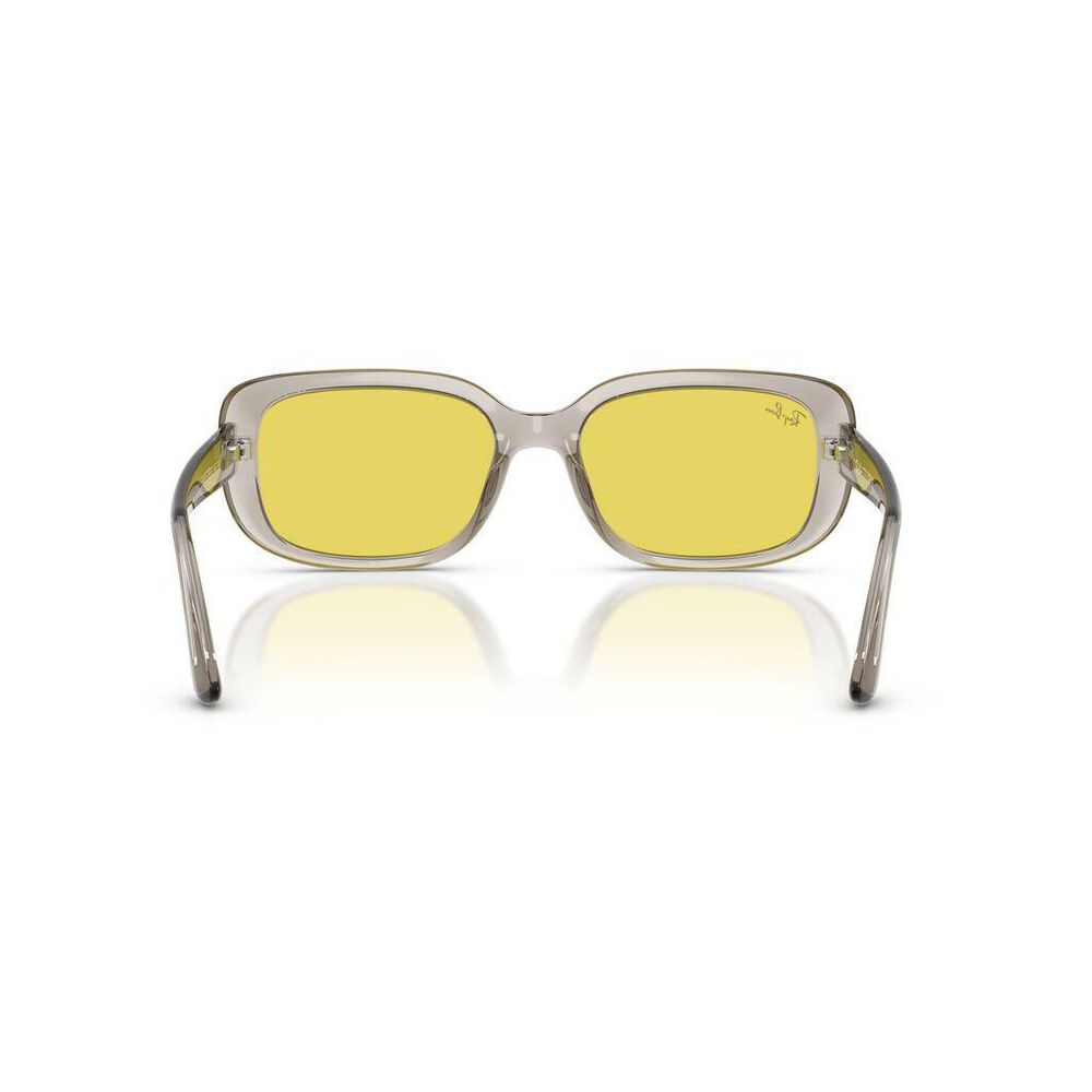 Lente solar Ray-Ban 0RB4421D image number 5