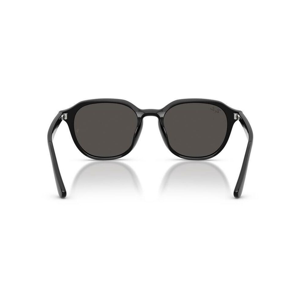 Lente solar Ray-Ban 0RB4459D image number 1