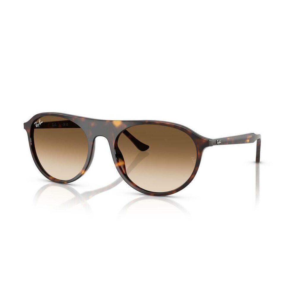 Lente solar Ray-Ban 0RB2215 image number 6
