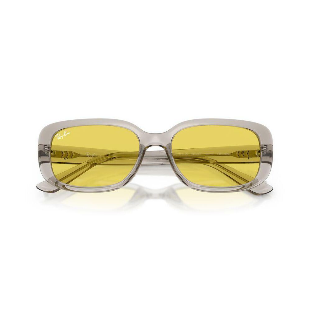 Lente solar Ray-Ban 0RB4421D image number 6