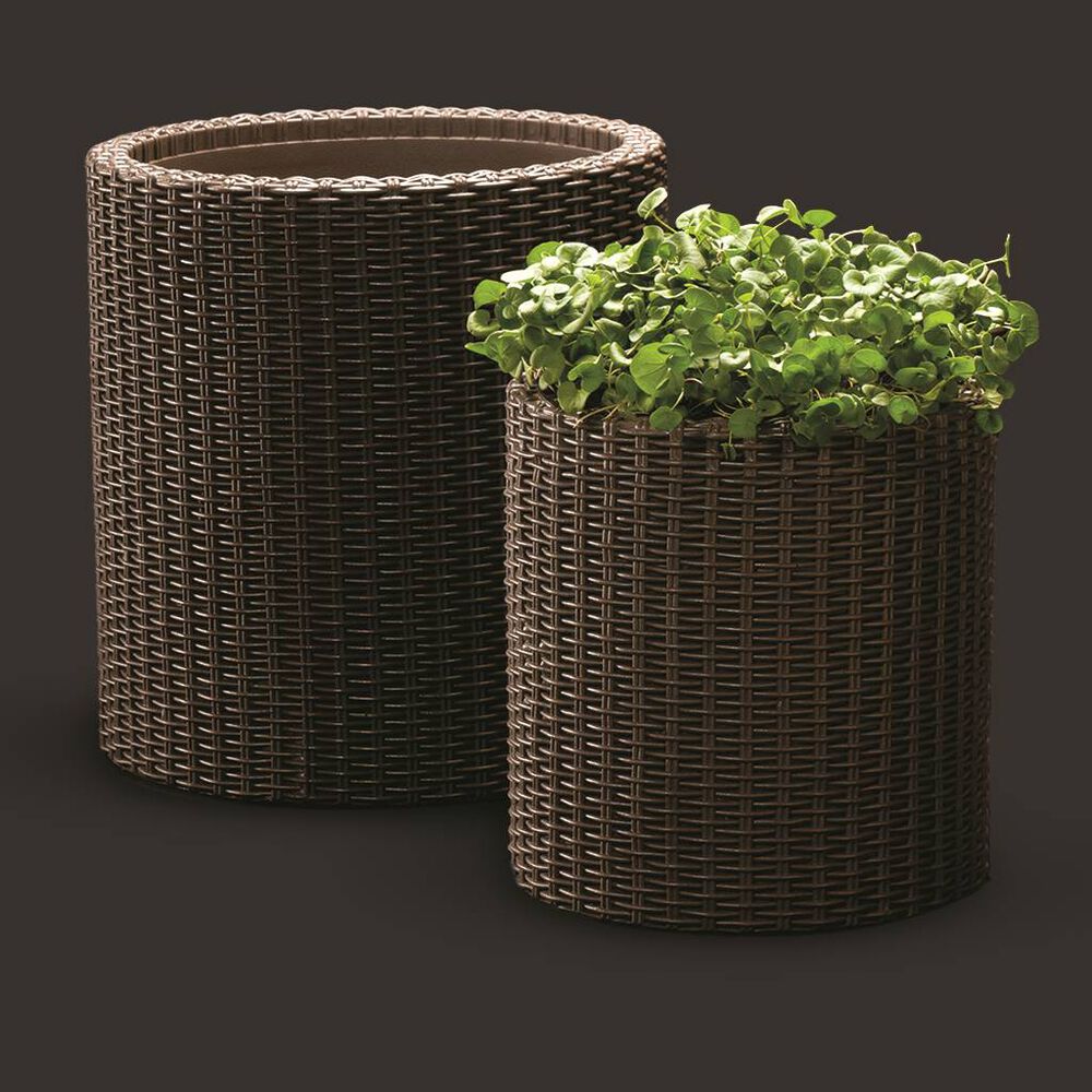 2 Pack de Macetas Decorativas Rattan Keter image number 4