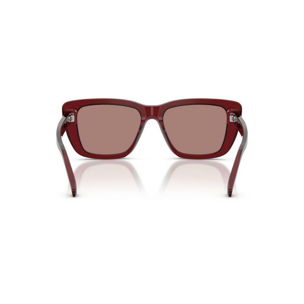 Lente solar Emporio Armani 0EA4246U image number 1