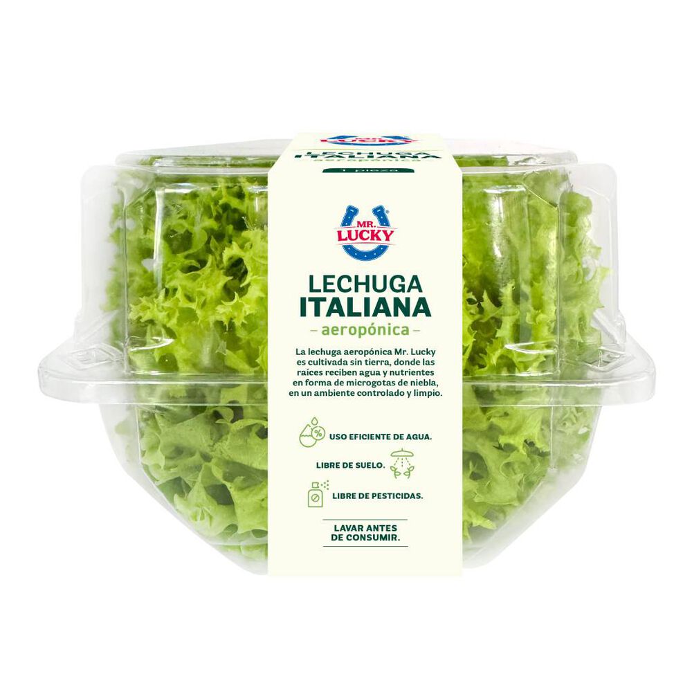 Lechuga Italiana Aerop&oacute;nica Mr. Lucky 1 pza image number 1