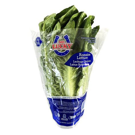 Lechuga Orejona 1 pza