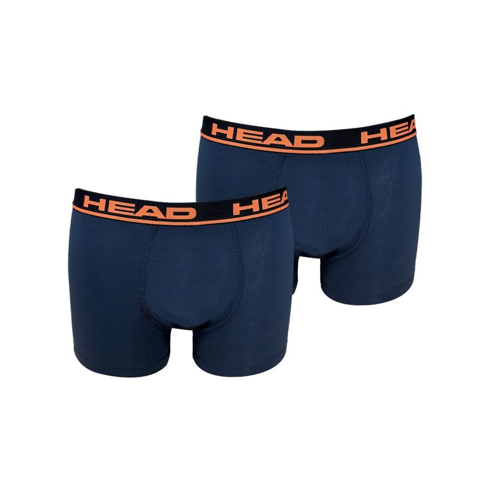 Boxer Azul Ch Head 1   /2  P image number 1