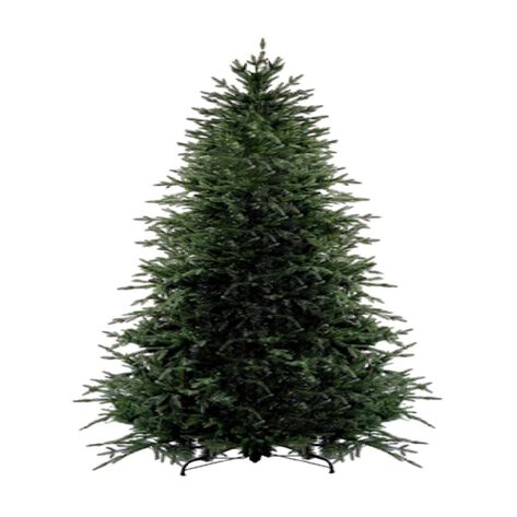 &Aacute;rbol Verde Fir 2.28 Mts Member's Choice