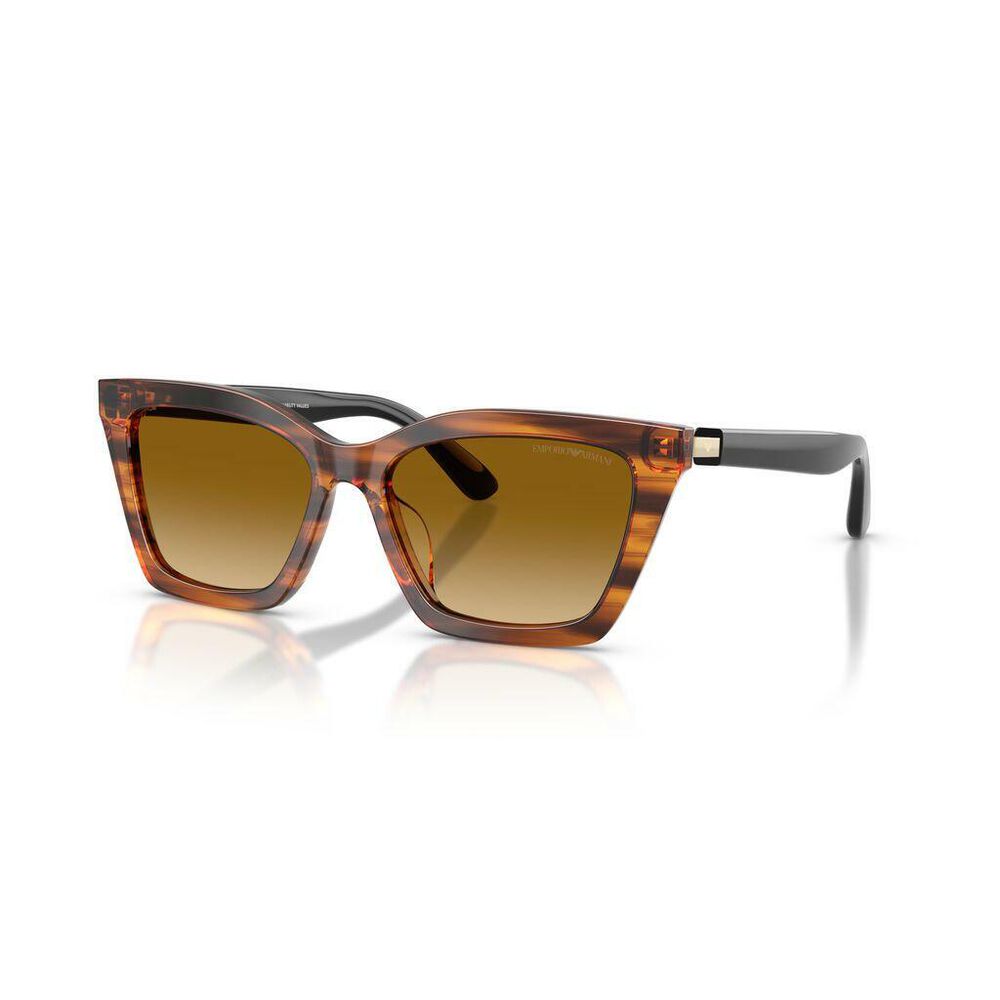 Lente solar Emporio Armani 0EA4250U image number 2