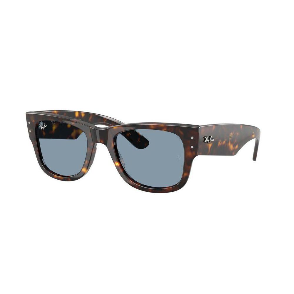 Lente solar Ray-Ban 0RB0840S image number 2