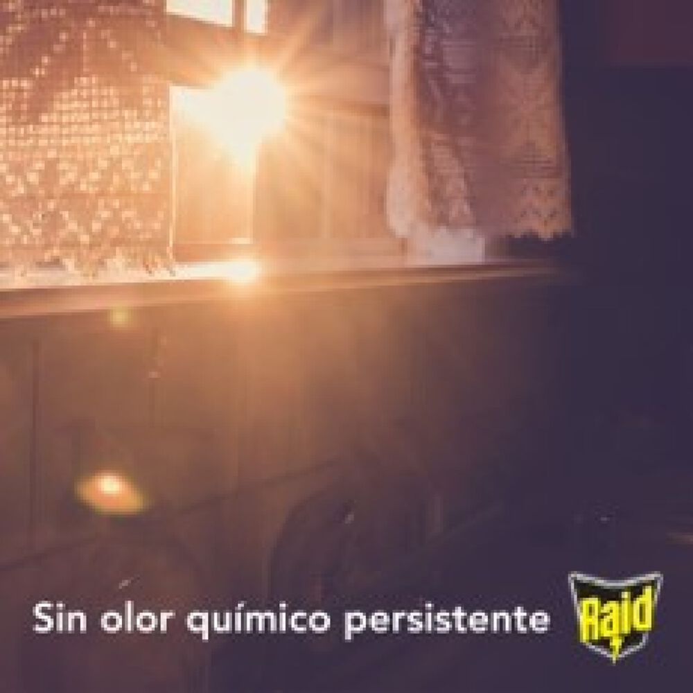 Insecticida Casa y Jard&iacute;n Eucalipto Raid 3/430 ml image number 2