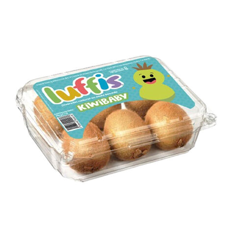 KIWI BABY CLAM 1 LB