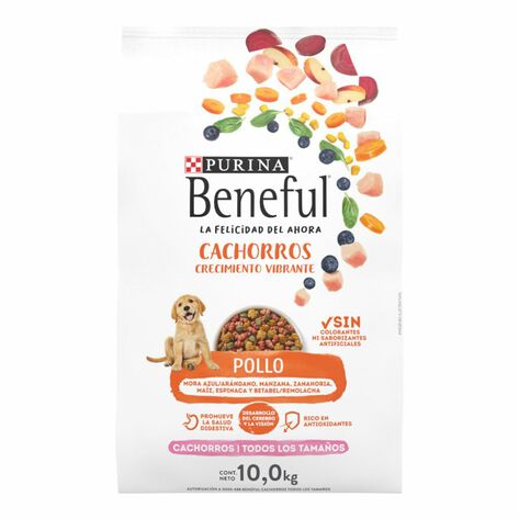 Alimento Para Perro Sabor Camote Beneful 10 Kg