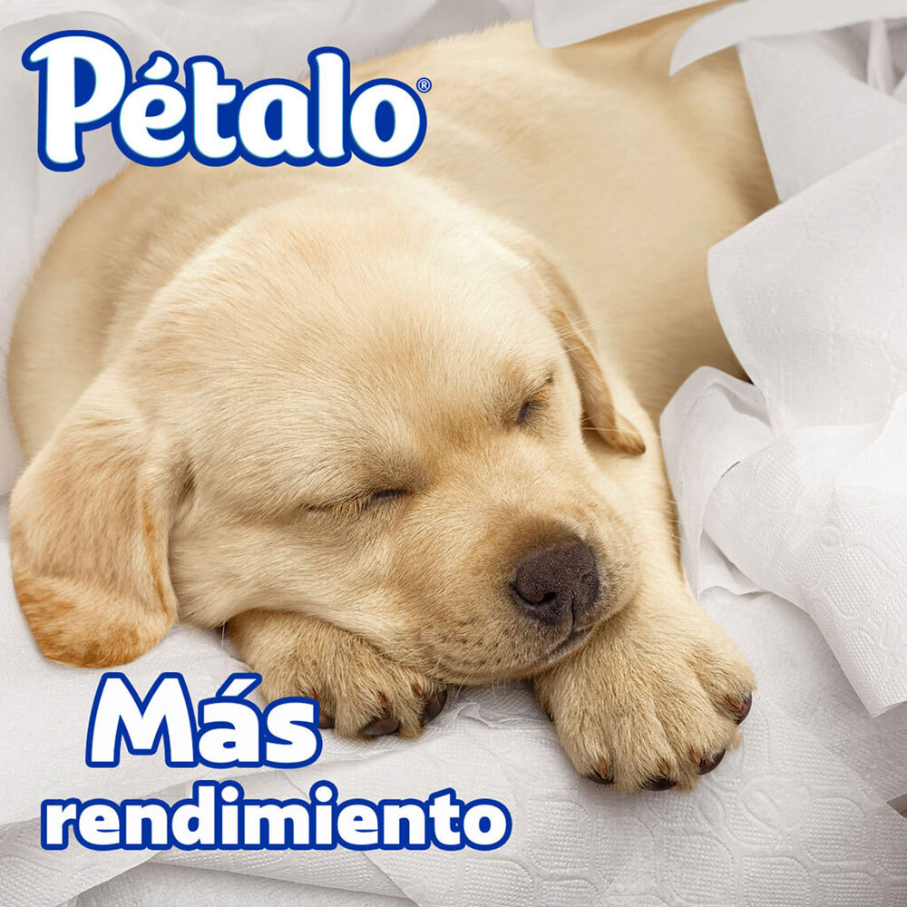 Papel higi&eacute;nico P&eacute;talo Ultra Resistente 14 Rollos image number 2