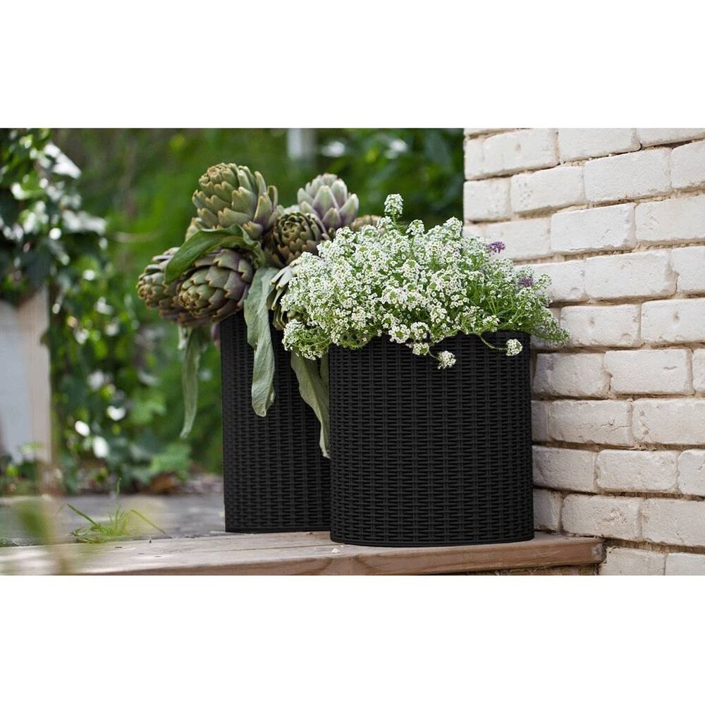 2 Pack de Macetas Decorativas Rattan Keter image number 2