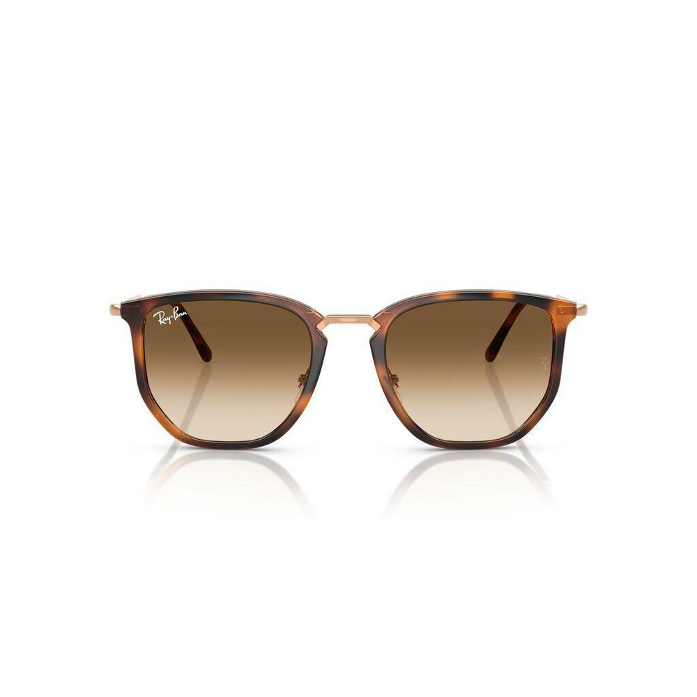 Lente solar Ray-Ban 0RB4451 image number 4