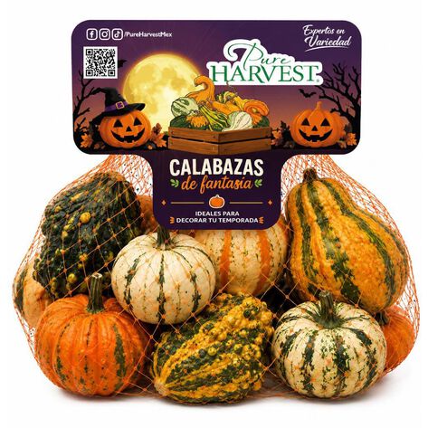 Calabaza Pure Harvest Malla 2 lb