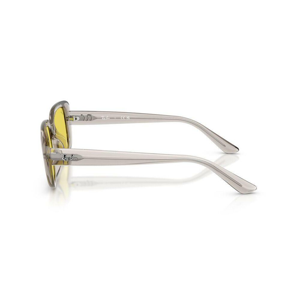 Lente solar Ray-Ban 0RB4421D image number 4