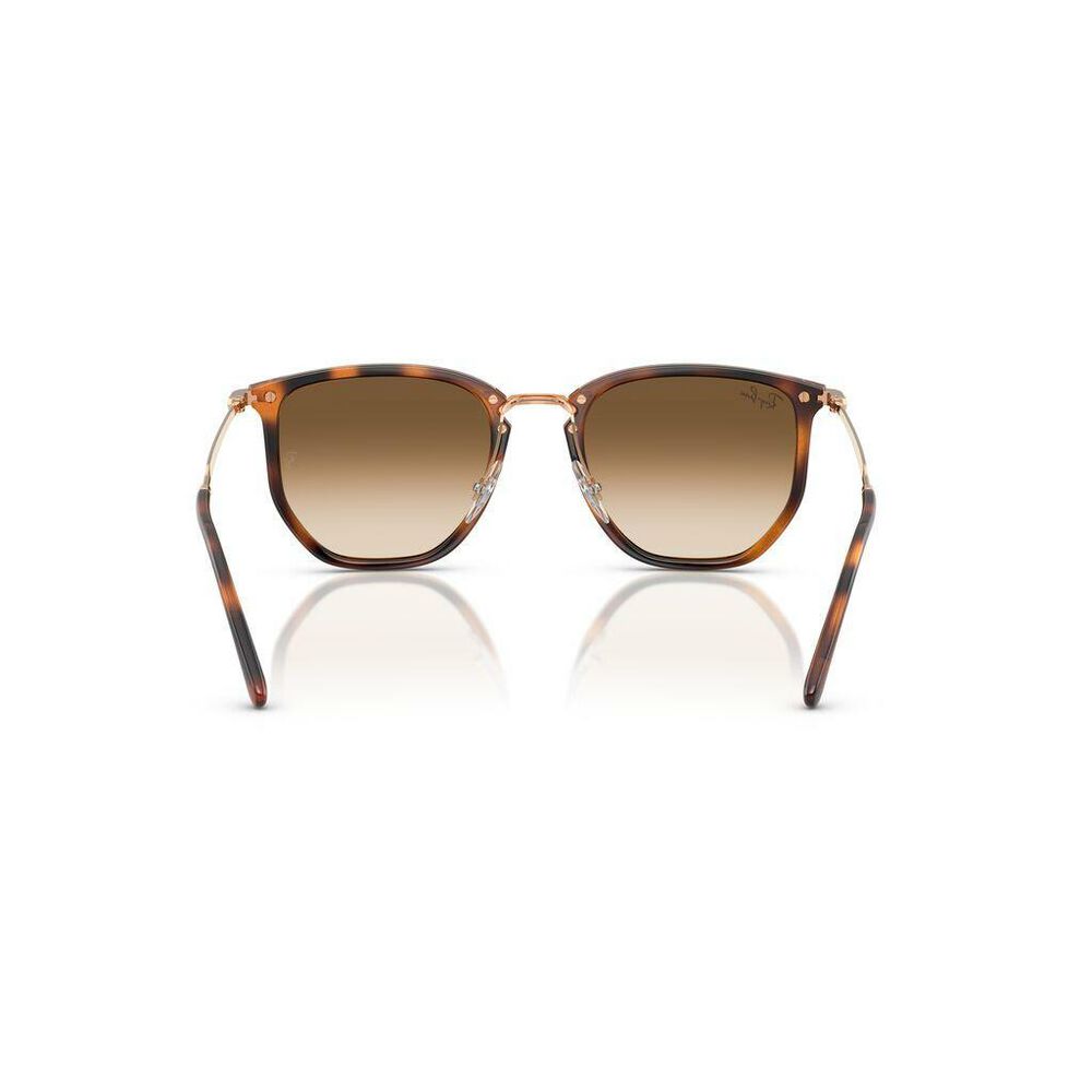 Lente solar Ray-Ban 0RB4451 image number 6