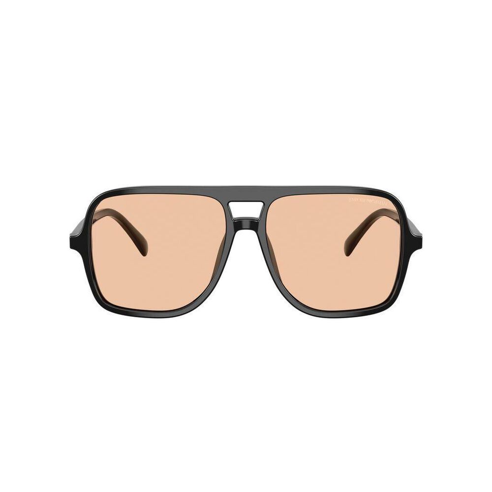 Lente solar Emporio Armani 0EA4252U image number 1