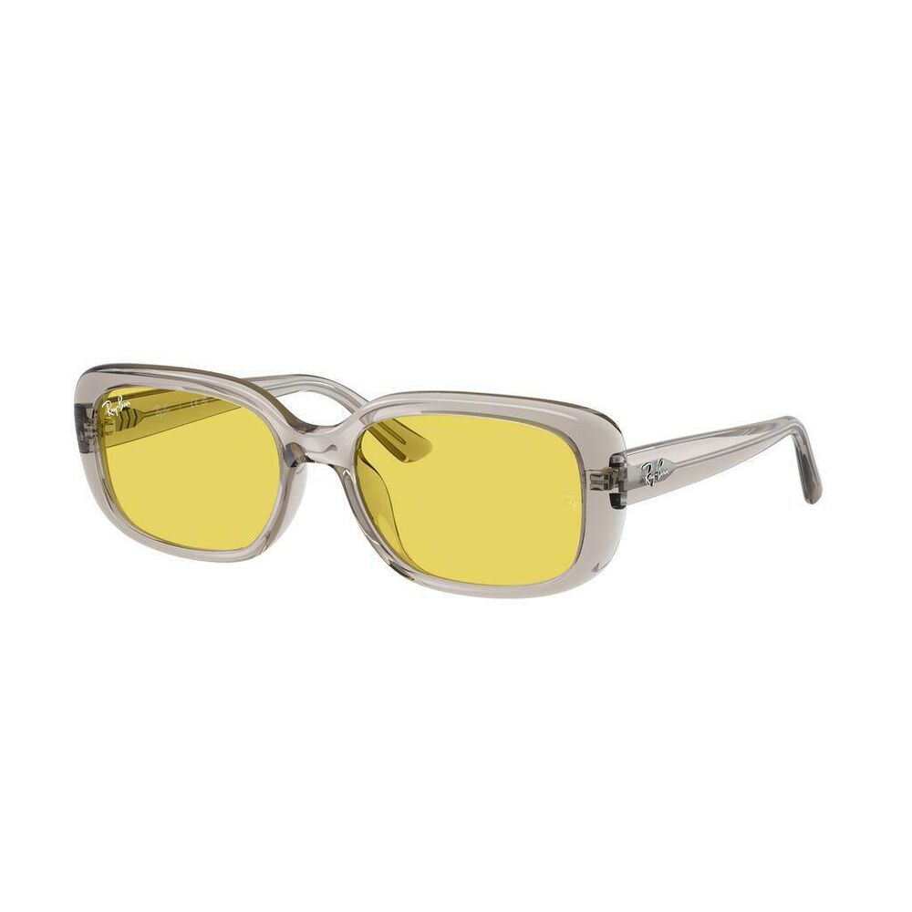 Lente solar Ray-Ban 0RB4421D image number 2