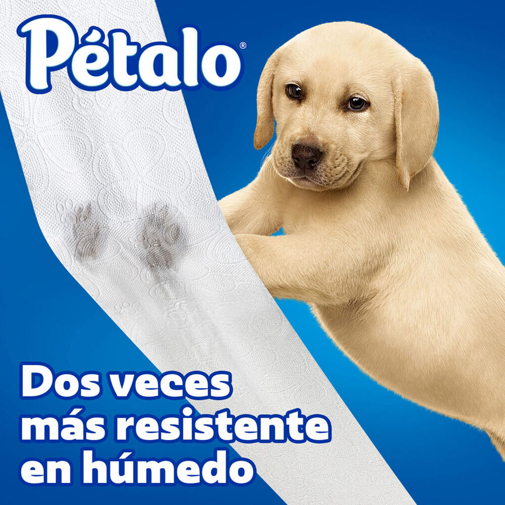 Papel higi&eacute;nico P&eacute;talo Ultra Resistente 14 Rollos image number 1