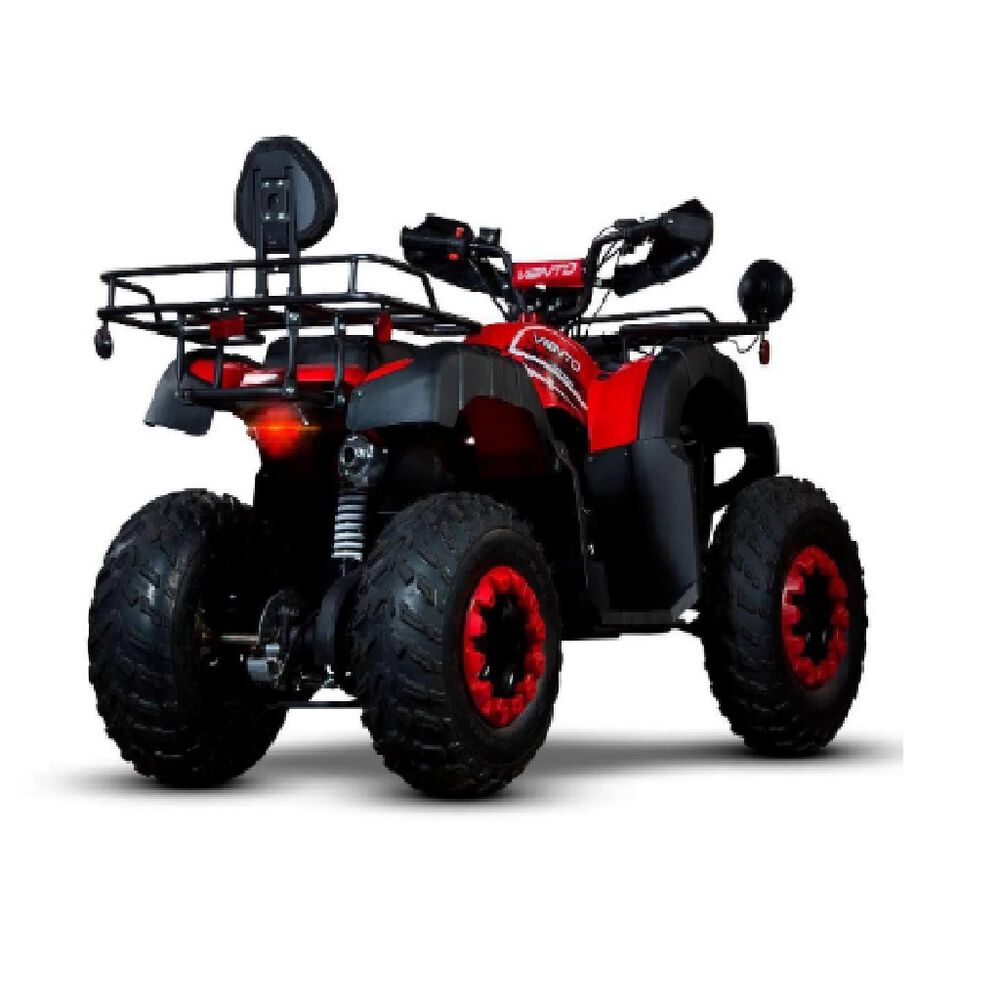 Cuatrimoto Reptile 200 CC 2024 image number 1