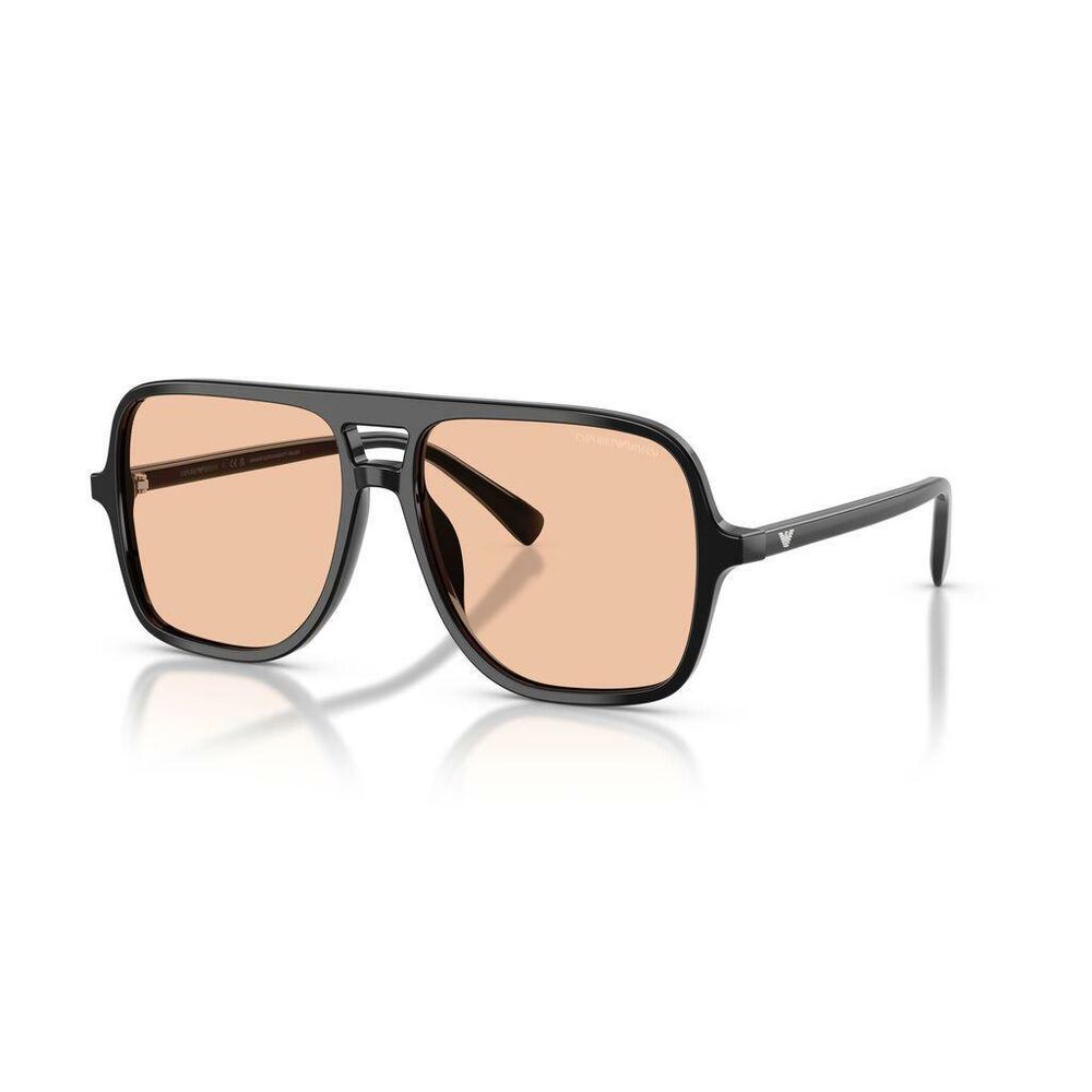 Lente solar Emporio Armani 0EA4252U image number 2