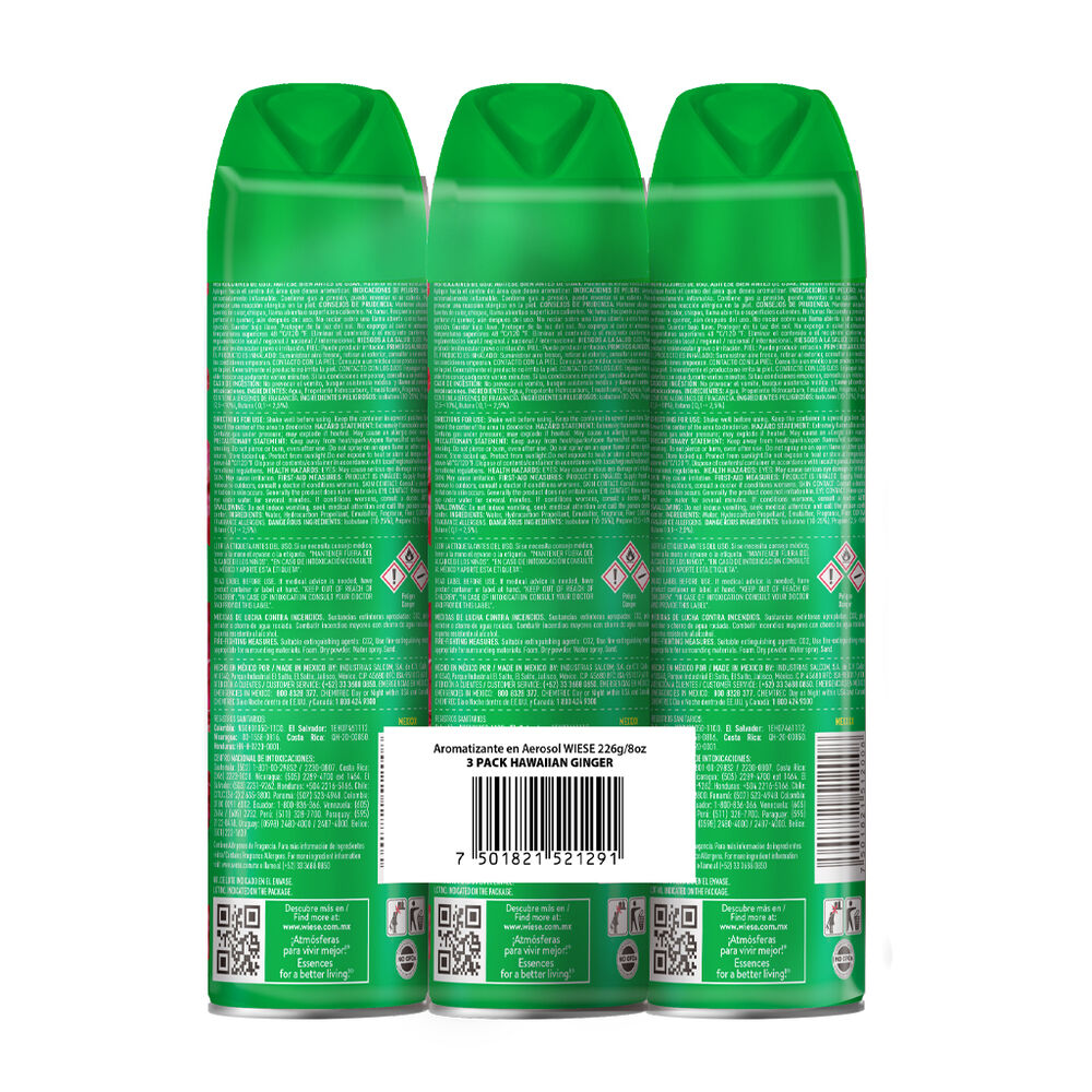 Aromatizante Aerosol Hawaiian Ginger Wiese 3/226g image number 1