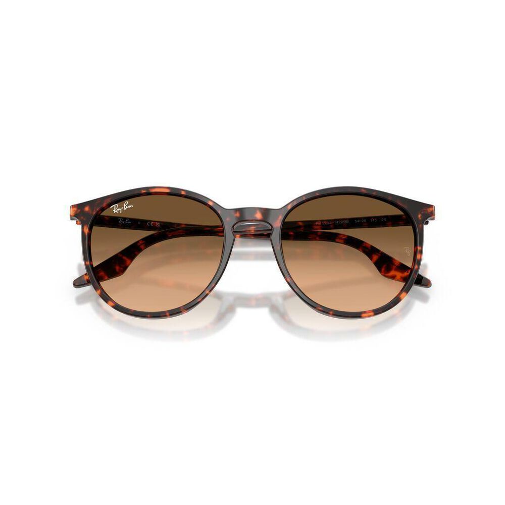 Lente solar Ray-Ban 0RB2204 image number 4