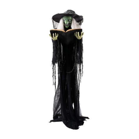 Bruja Decorativa Member&acute;s Choice