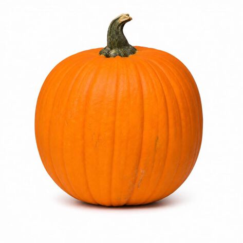 Calabaza Gladiator Fewel Farms kg
