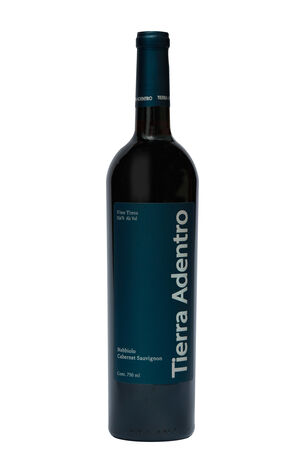 Vino Tinto Tierra Adentro Nebbiolo Nebbiolo 750 ml