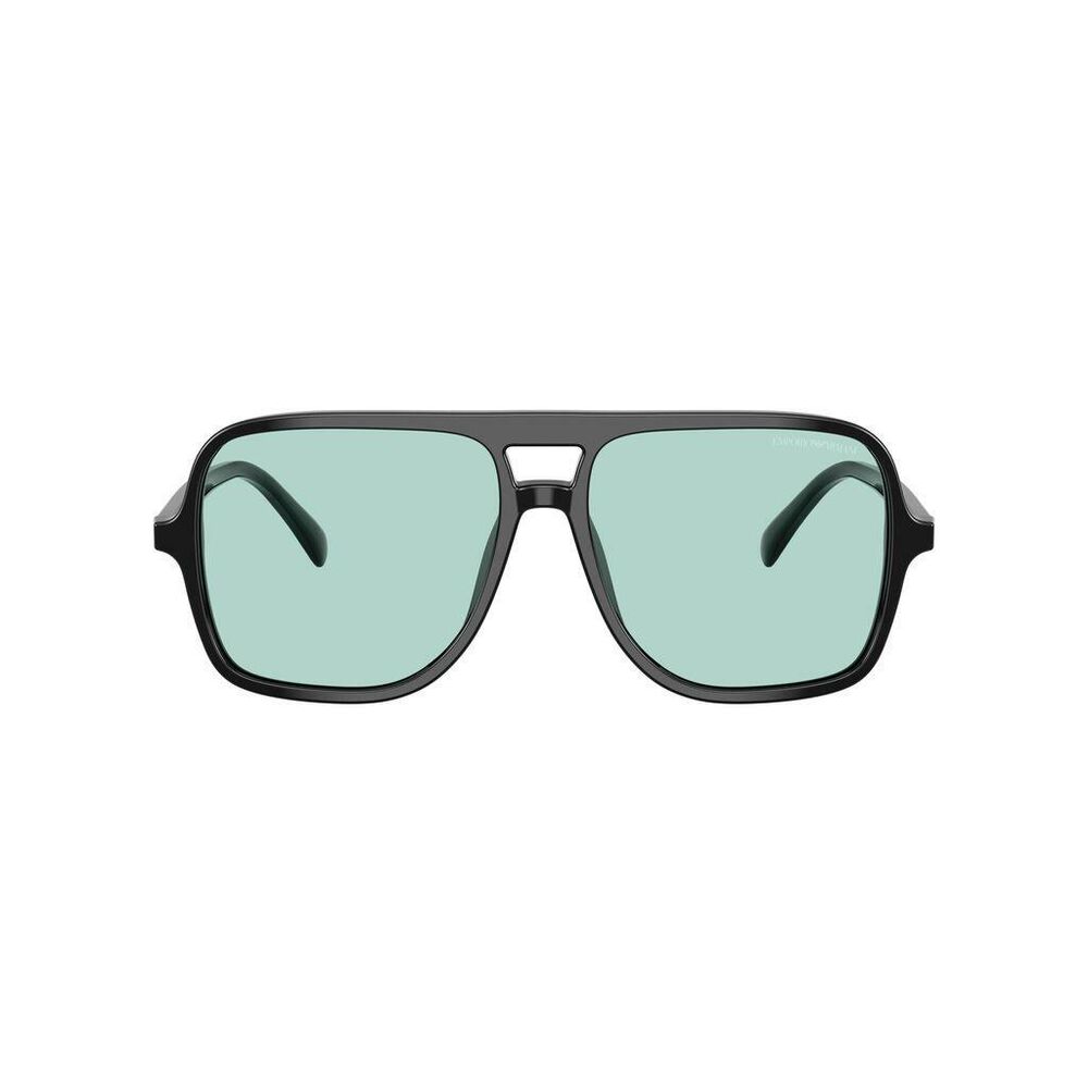Lente solar Emporio Armani 0EA4252U image number 1