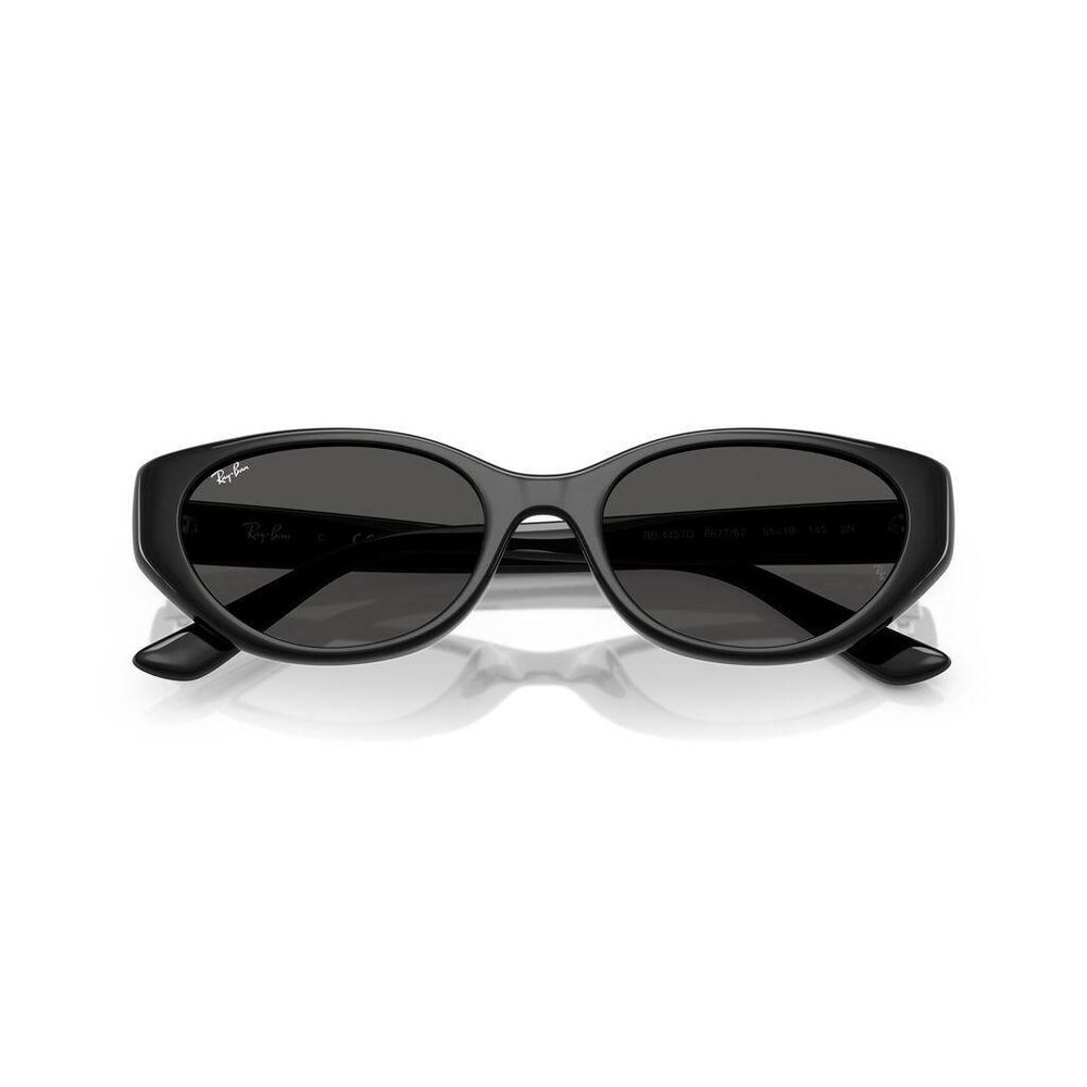 Lente solar Ray-Ban 0RB4457D image number 2