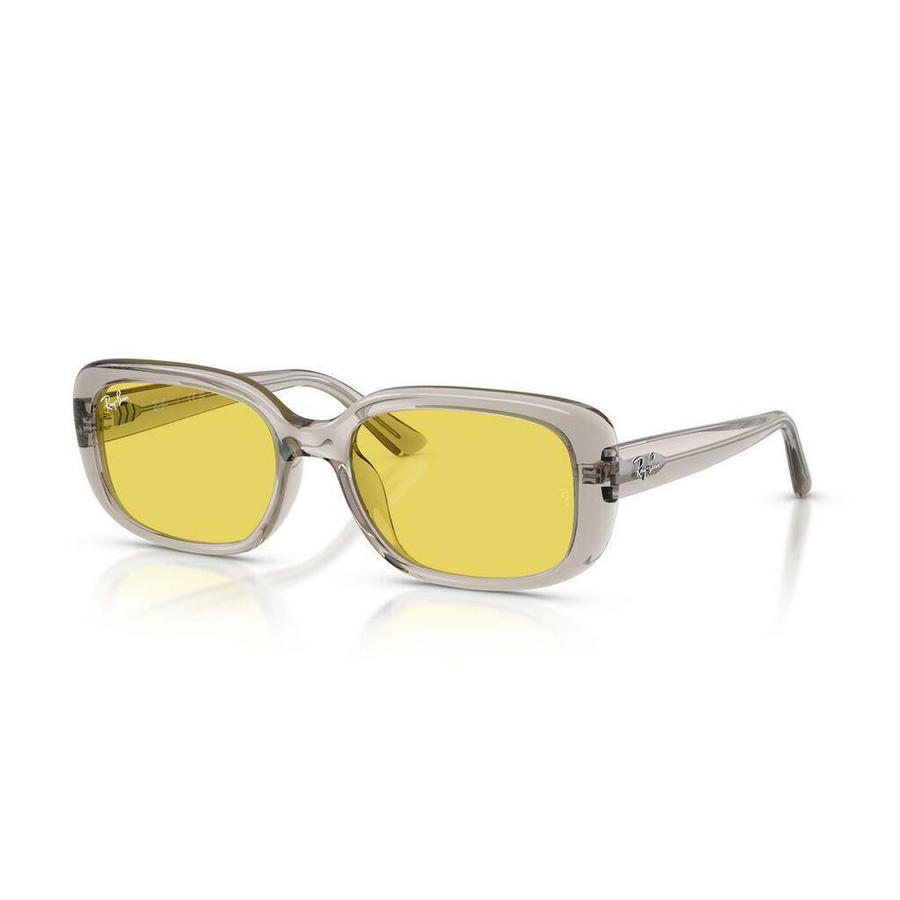 Lente solar Ray-Ban 0RB4421D image number 1