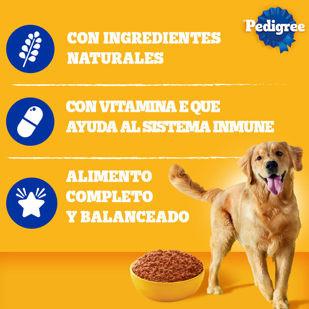 Alimento H&uacute;medo en Lata Para Perro Aduelto Pedigree Sabor Res 24 / 376 g image number 2