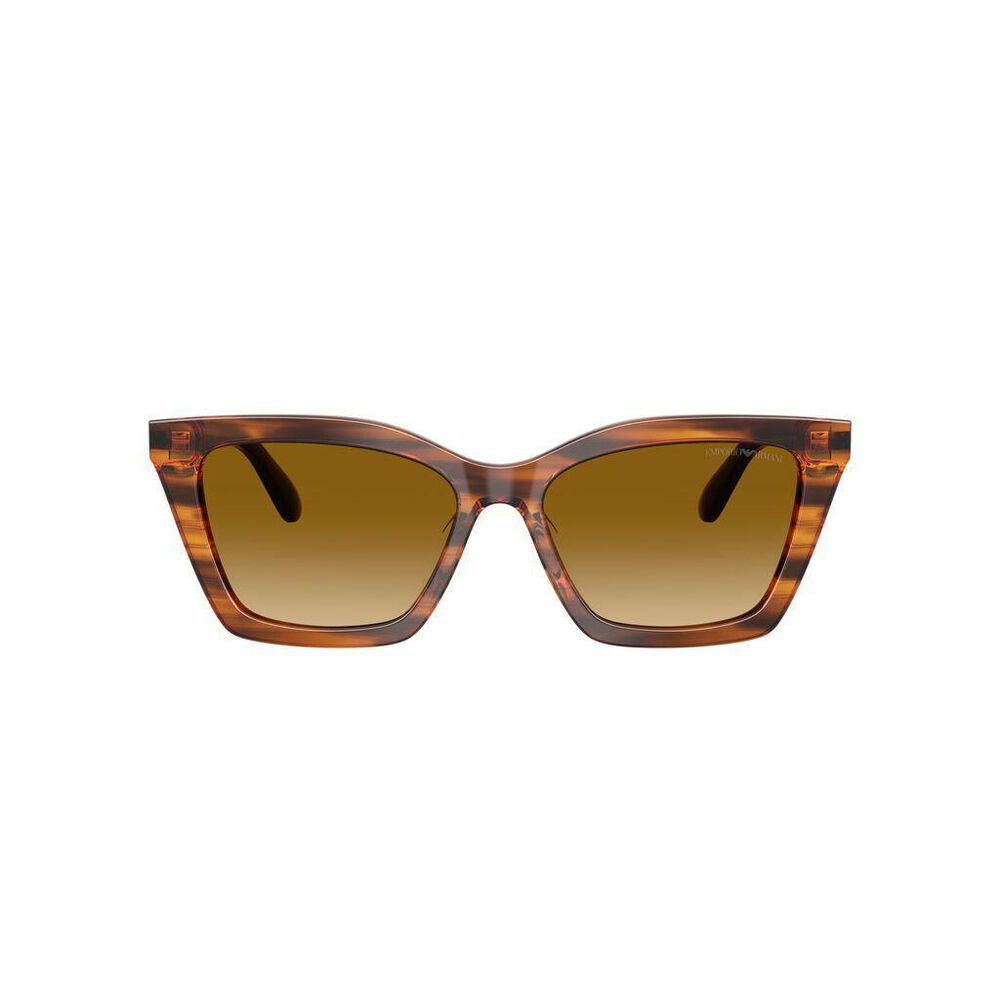Lente solar Emporio Armani 0EA4250U image number 1