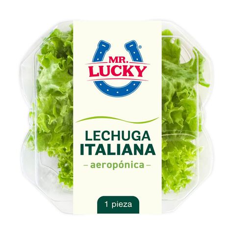 Lechuga Italiana Aerop&oacute;nica Mr. Lucky 1 pza