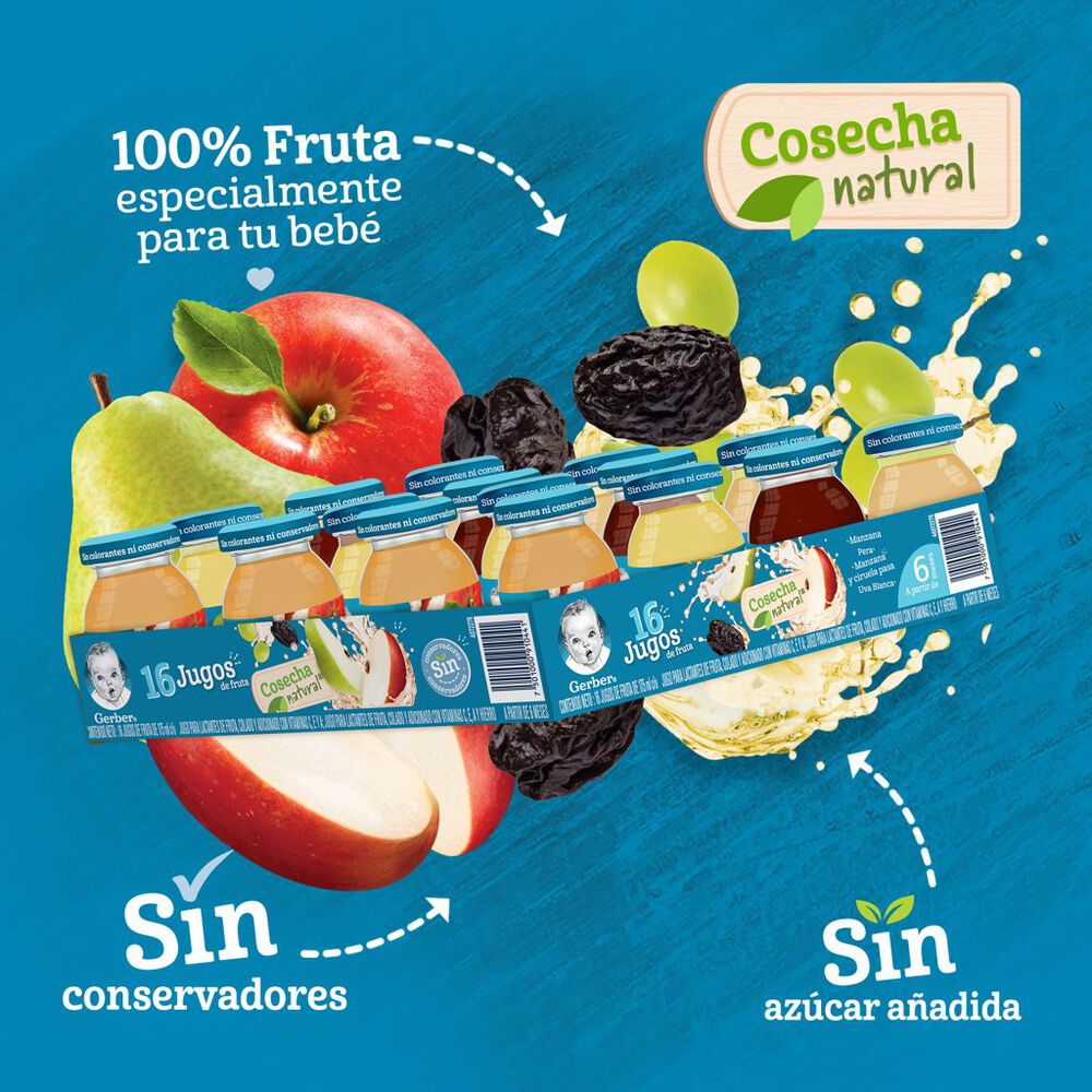 Jugo Surtido Etapa 2 Gerber 16/175 g image number 4