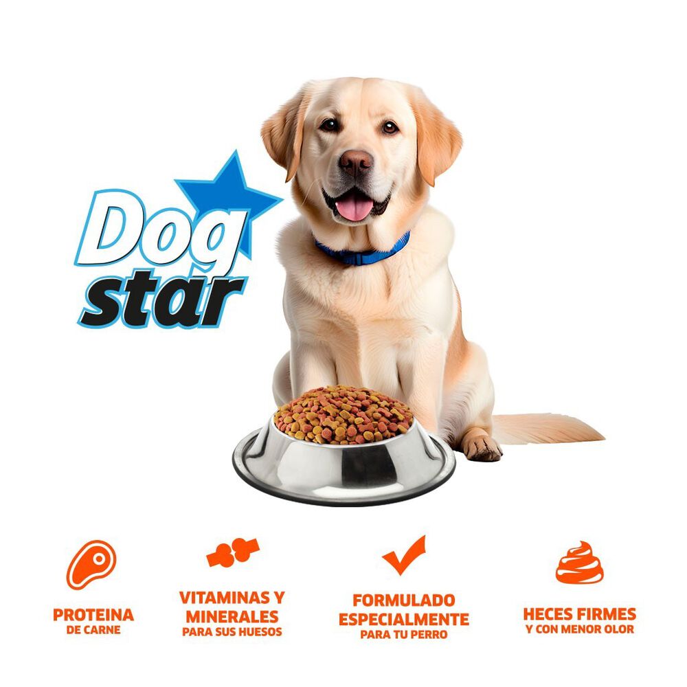 Alimento para Perro Dog Star Todas Las Razas 15 Kg image number 3