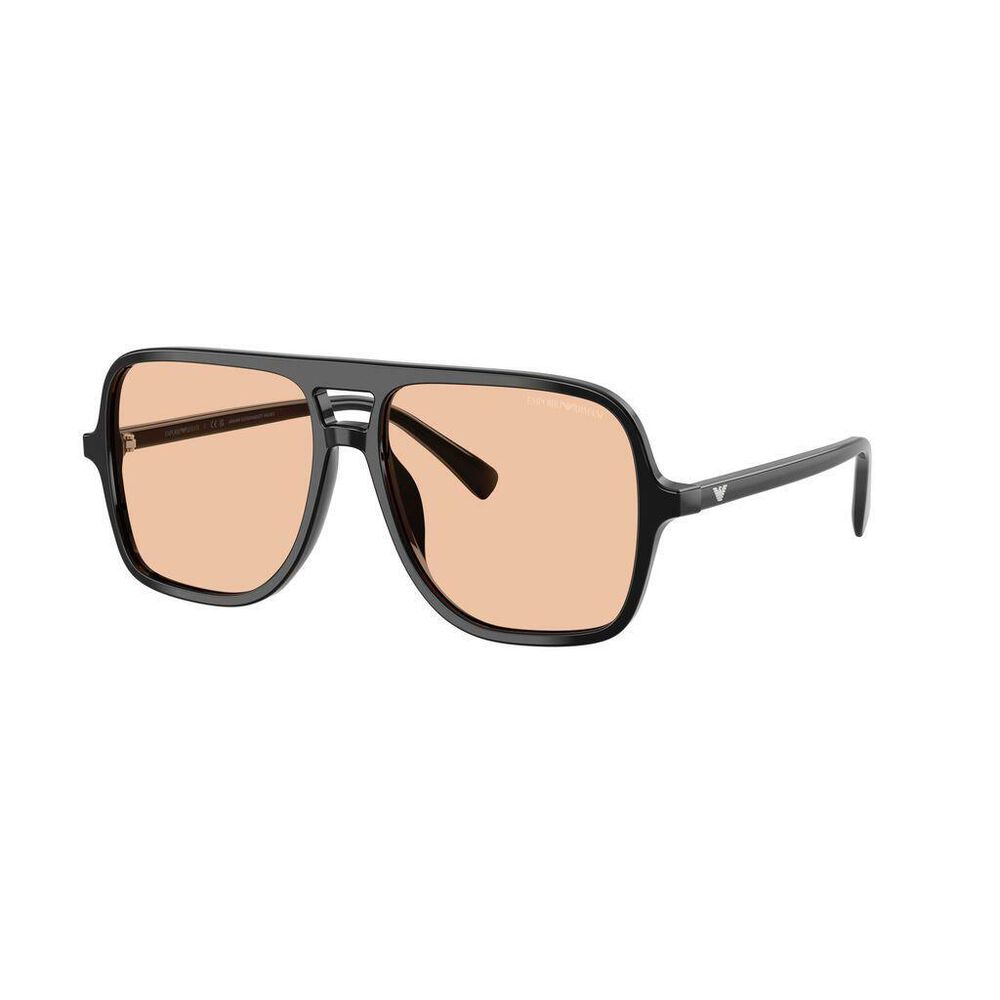 Lente solar Emporio Armani 0EA4252U image number 3