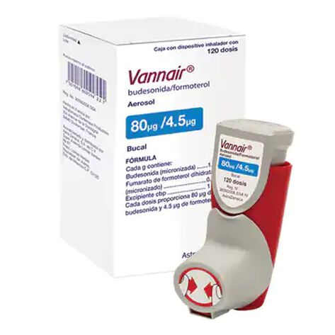 Vannair 80/4.5mcg Aero 120 Dsis