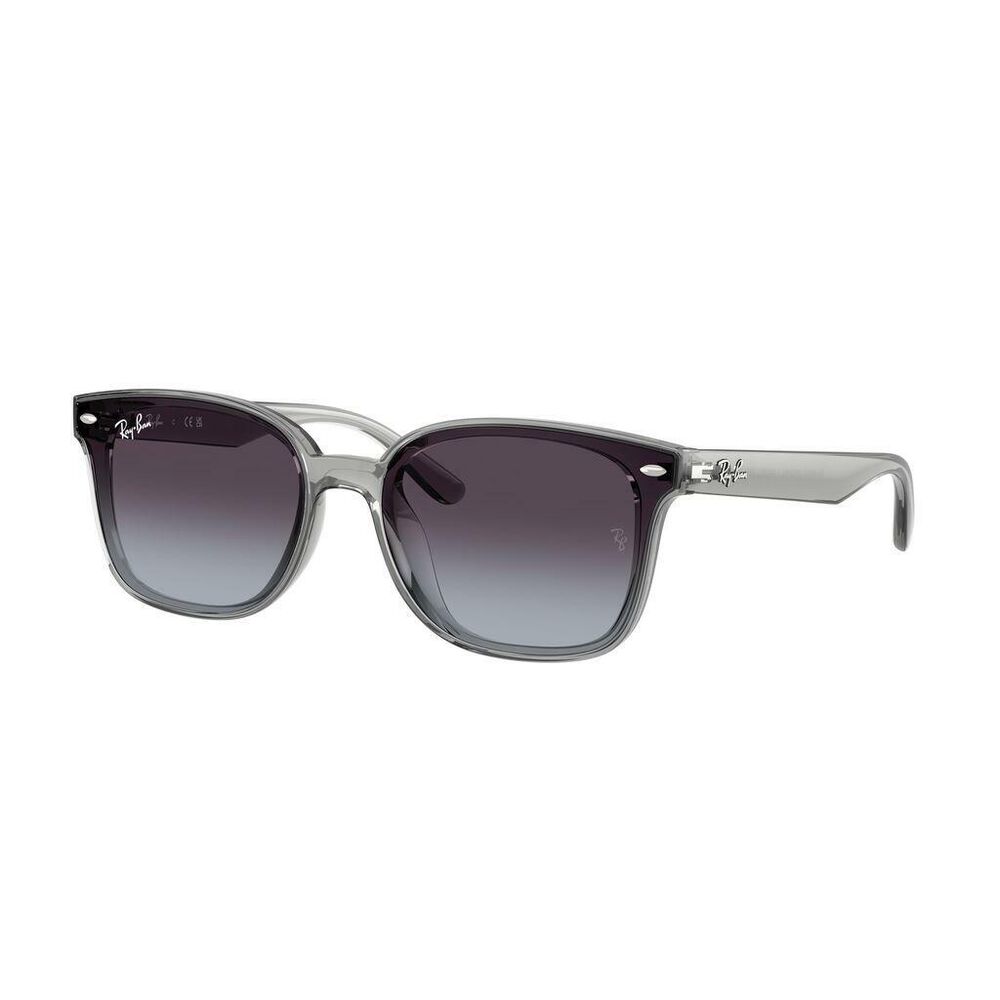 Lente solar Ray-Ban 0RB4461D image number 3