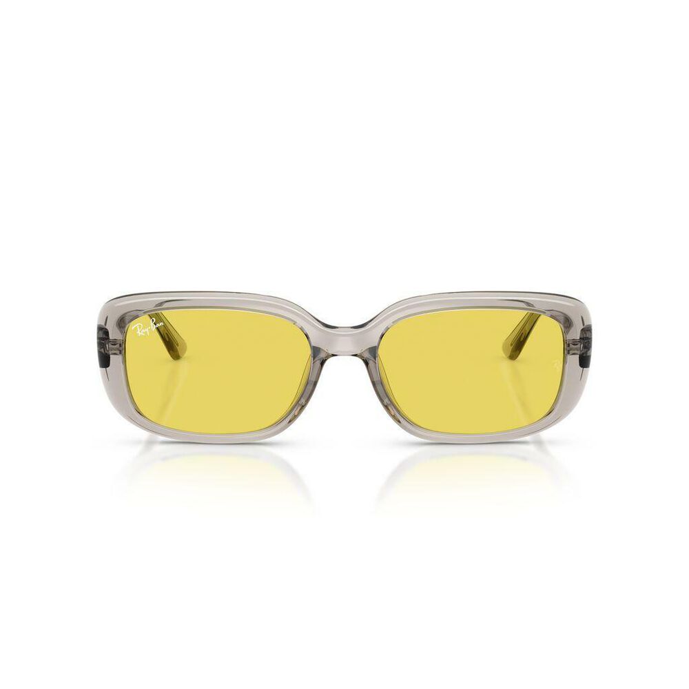 Lente solar Ray-Ban 0RB4421D image number 3