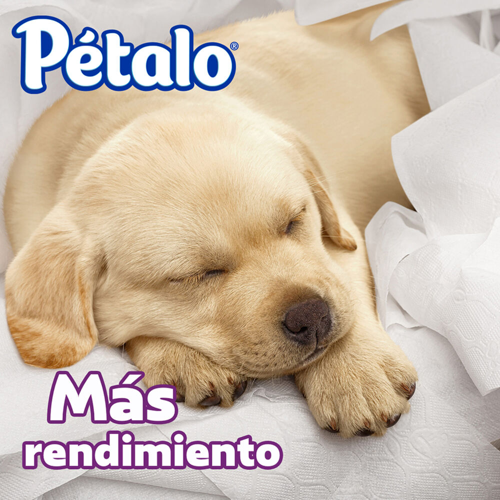 Papel higi&eacute;nico P&eacute;talo Balance 40 Rollos image number 1
